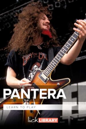 Andy James - Lick Library - Learn To play Pantera