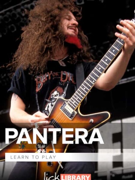 Andy James - Lick Library - Learn To play Pantera