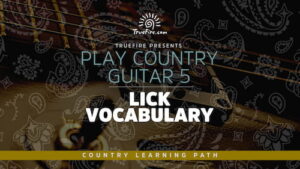 Play Country Guitar 5 Lick Vocabulary - Truefire