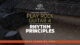 Play Rock Guitar 4 Rhythm Principles - Truefire