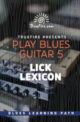 Play Blues Guitar 5 Lick Lexicon