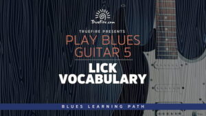 Play Blues Guitar 5 Lick Vocabulary