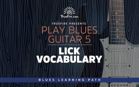 Play Blues Guitar 5 Lick Vocabulary