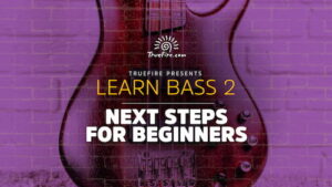 Next Steps For Beginners