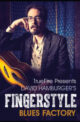 David Hamburger - Truefire - Fingerstyle Blues Factory