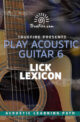 Play Acoustic Guitar 6 Lick Lexicon