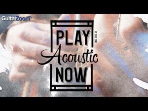 Steve Stine - Guitar Zoom - Play Acoustic Now