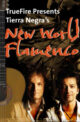 Tierra Negra - Truefire - New World Flamenco